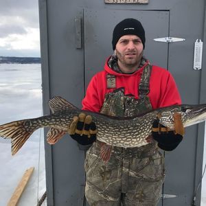 Meet your Posher, Jeff